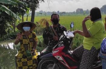Satgas TMMD 110 Bojonegoro Bantu Petani Ambil Padi Seikat Di Sawah